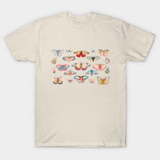 Vintage  pretty Butterflies T-Shirt